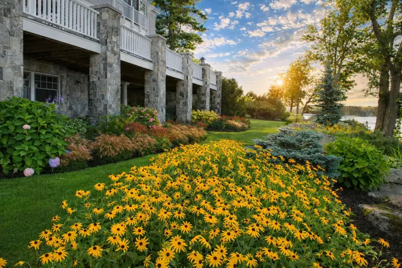 Property Maintenance