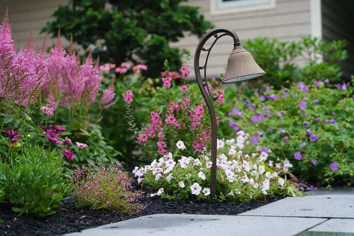 When Summer Growth Hides Your Landscape Lights