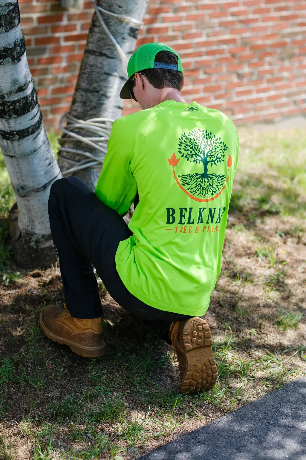 Complimentary Tree Health Evaluation – Peace of Mind for your Property & Family