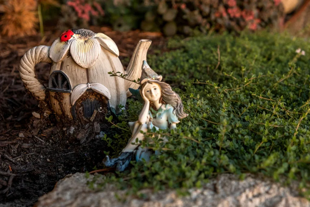 Belknap Landscape Project