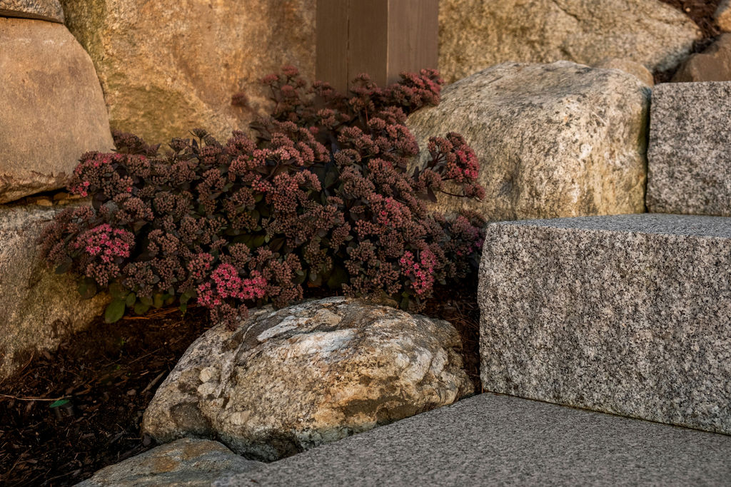 Belknap Landscape Project