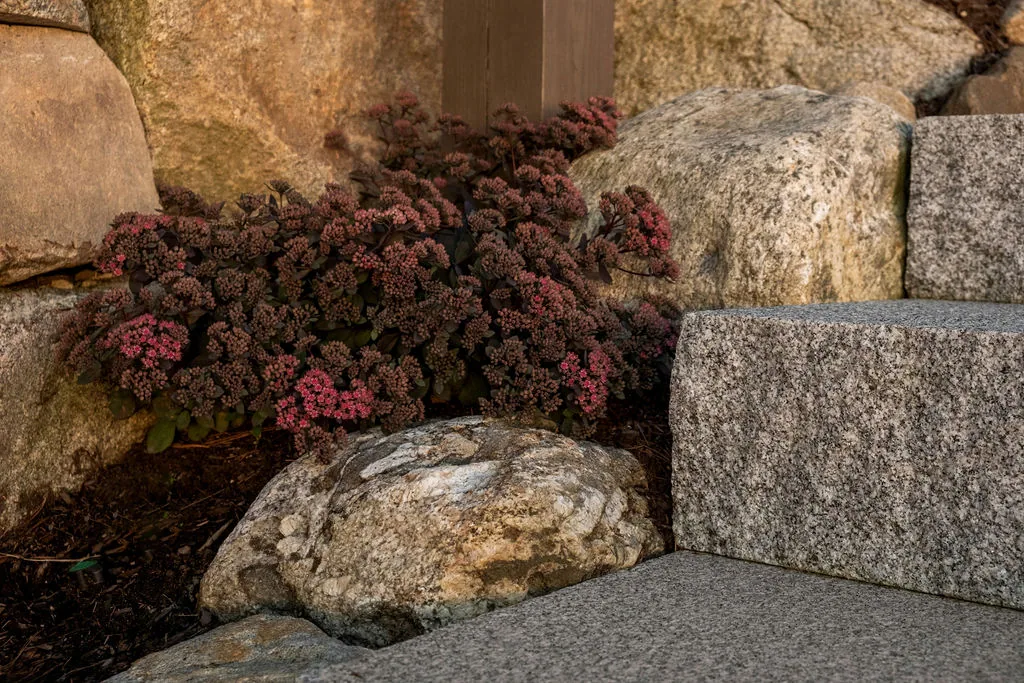 Belknap Landscape Project