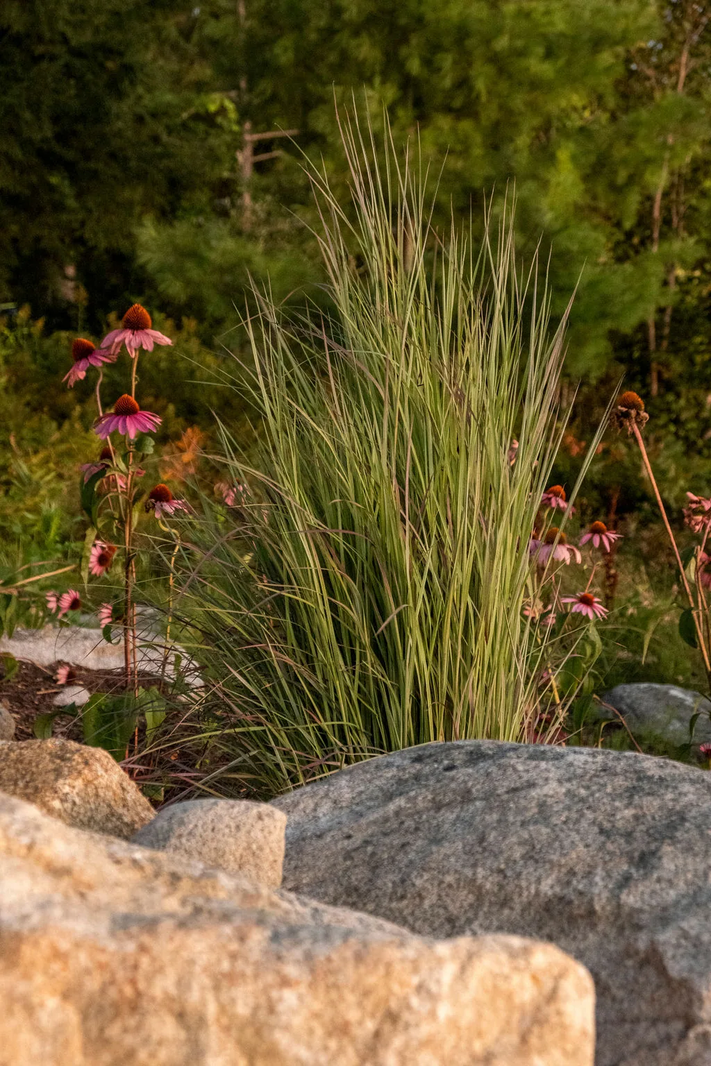 Belknap Landscape Project