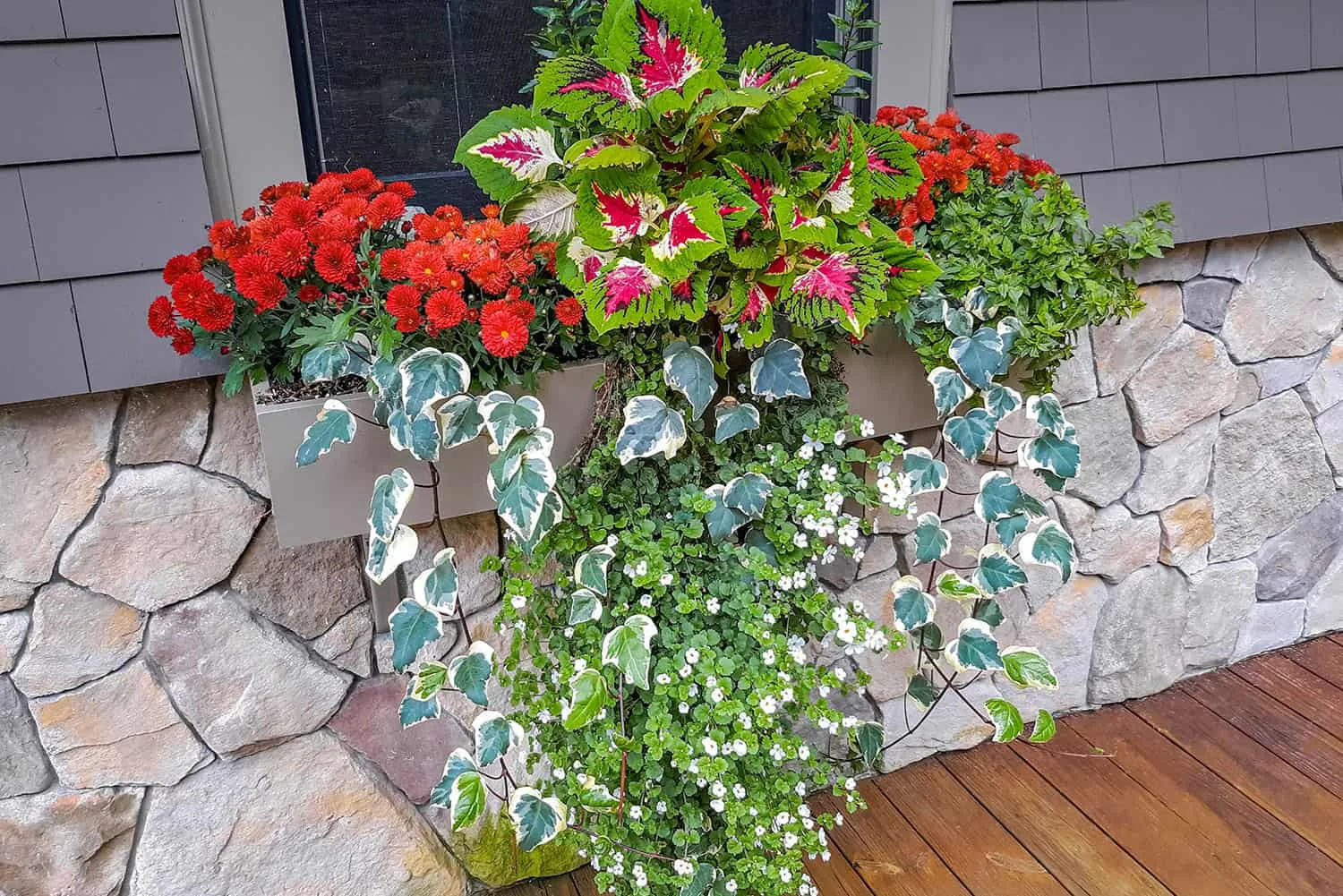 Carroll County Landscape