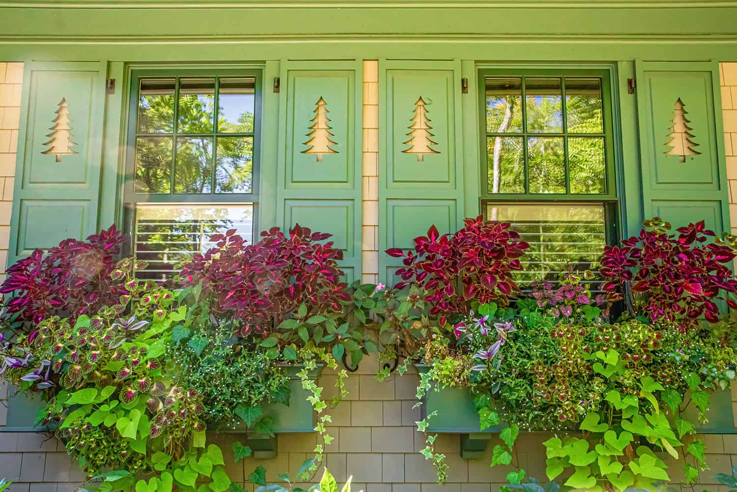 Carroll County Landscape