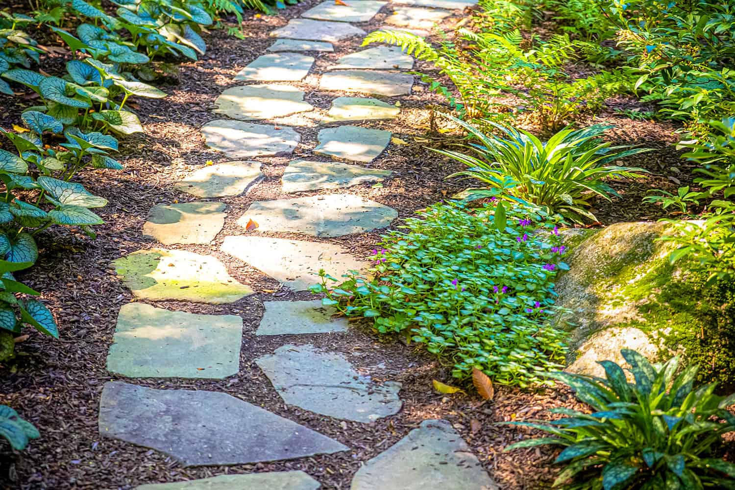 Carroll County Landscape