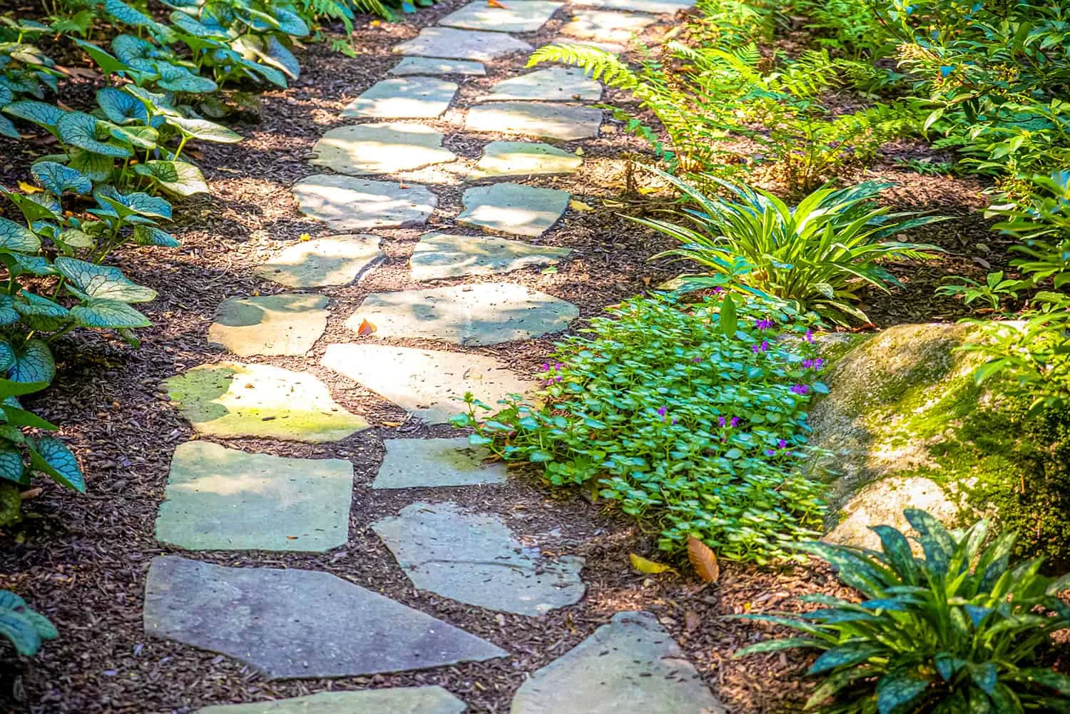 Carroll County Landscape