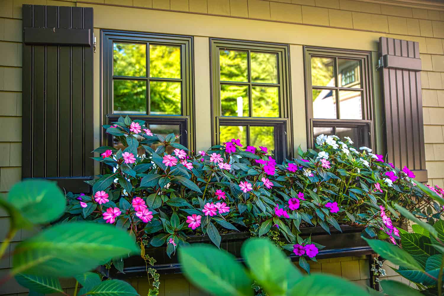 Carroll County Landscape