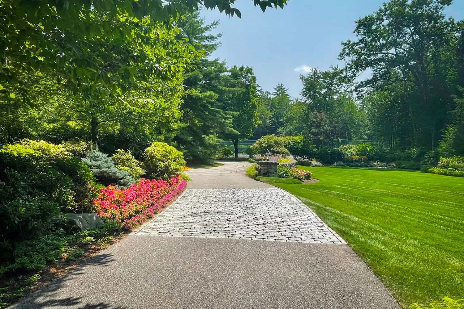 Carroll County Landscape