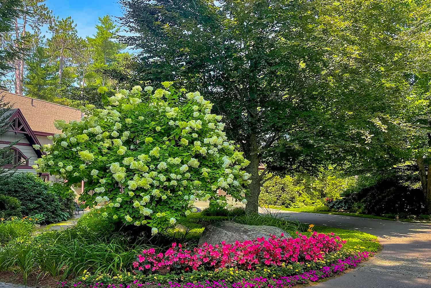 Carroll County Landscape