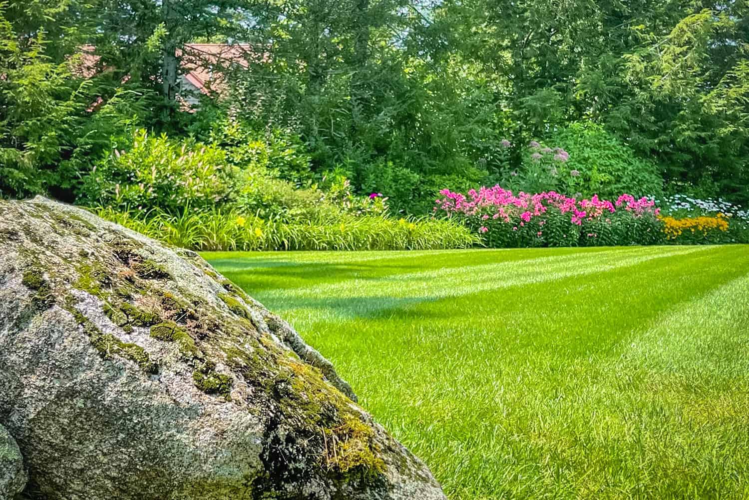 Carroll County Landscape