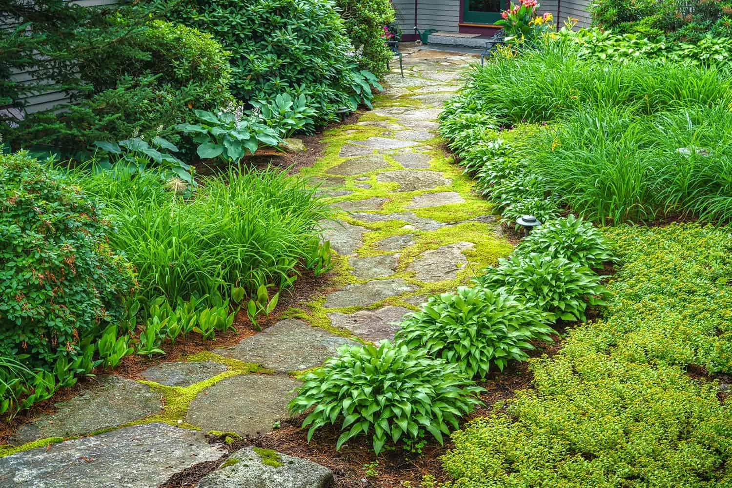 Carroll County Landscape