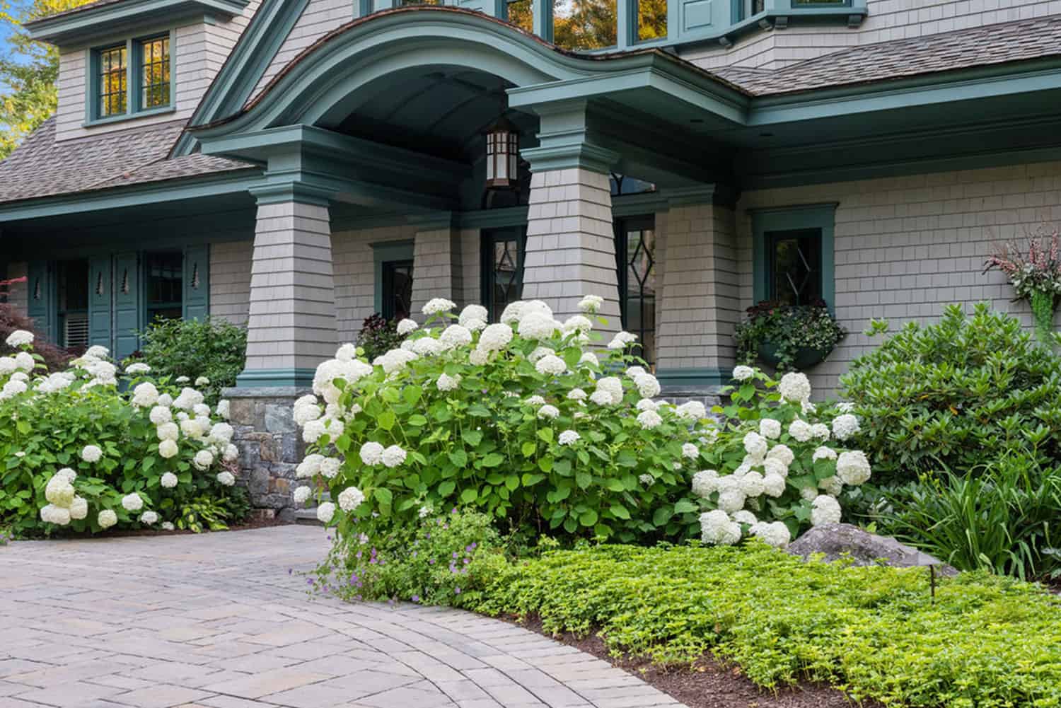 Carroll County Landscape