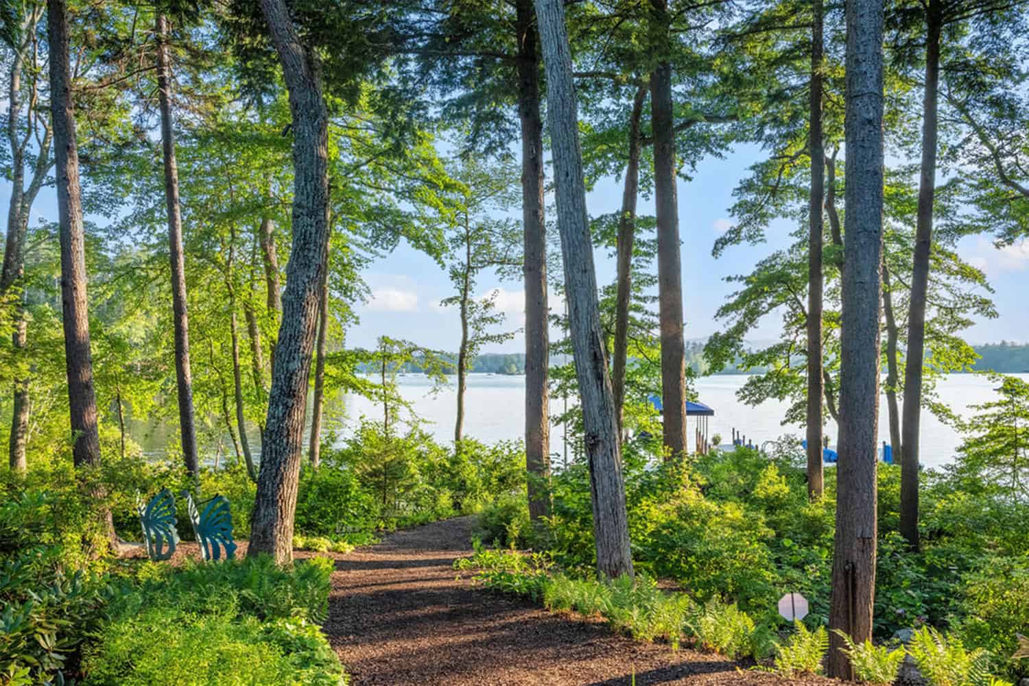 Carroll County Landscape