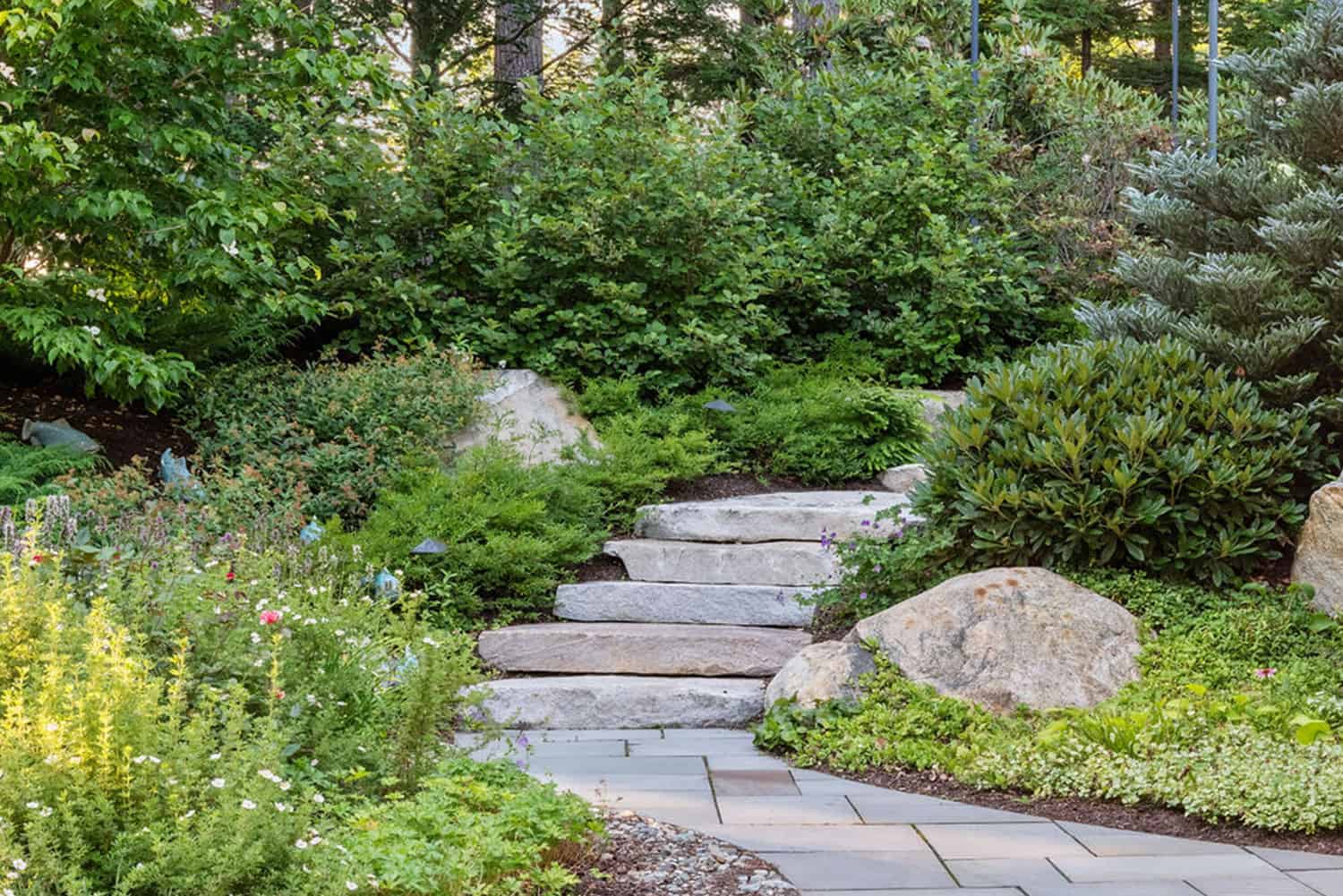 Carroll County Landscape