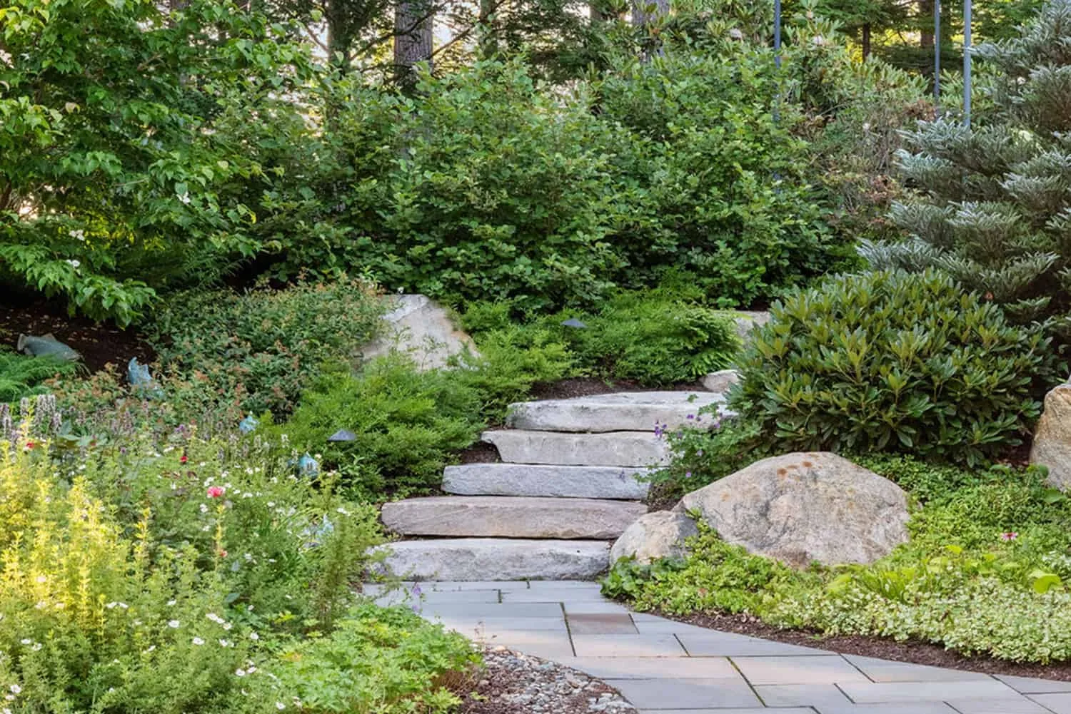 Carroll County Landscape