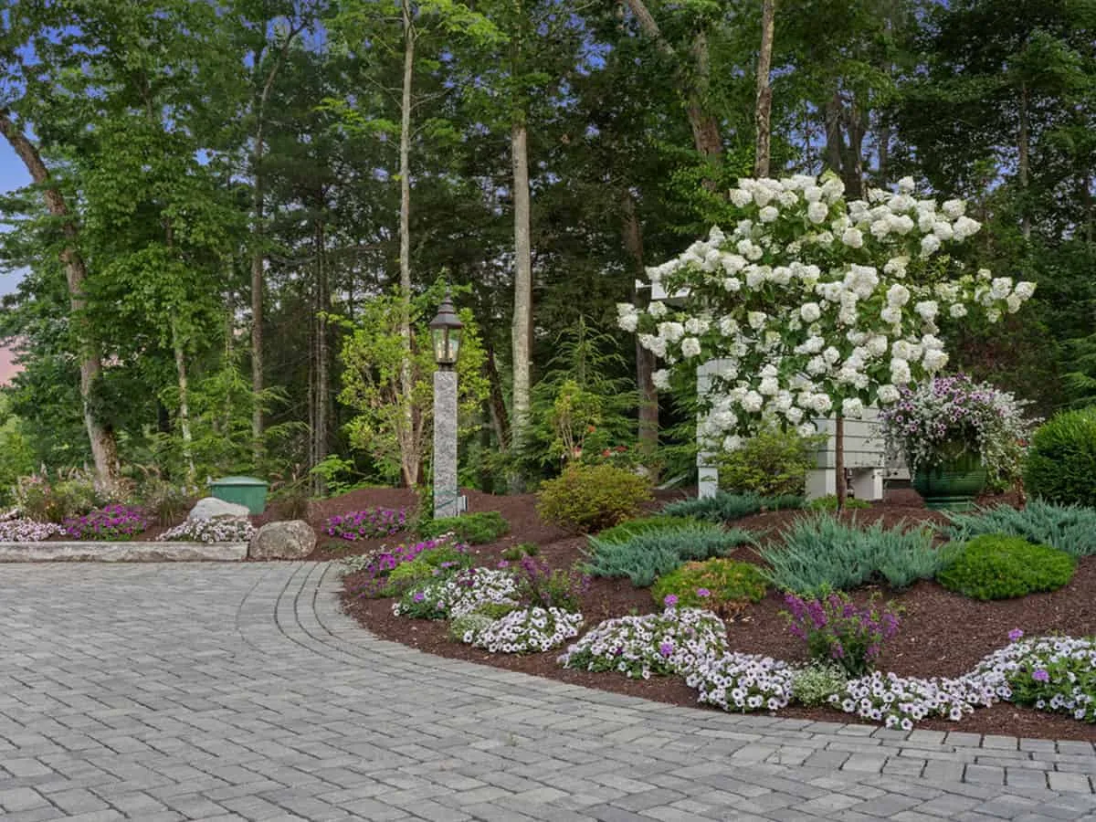 Belknap Landscape Project