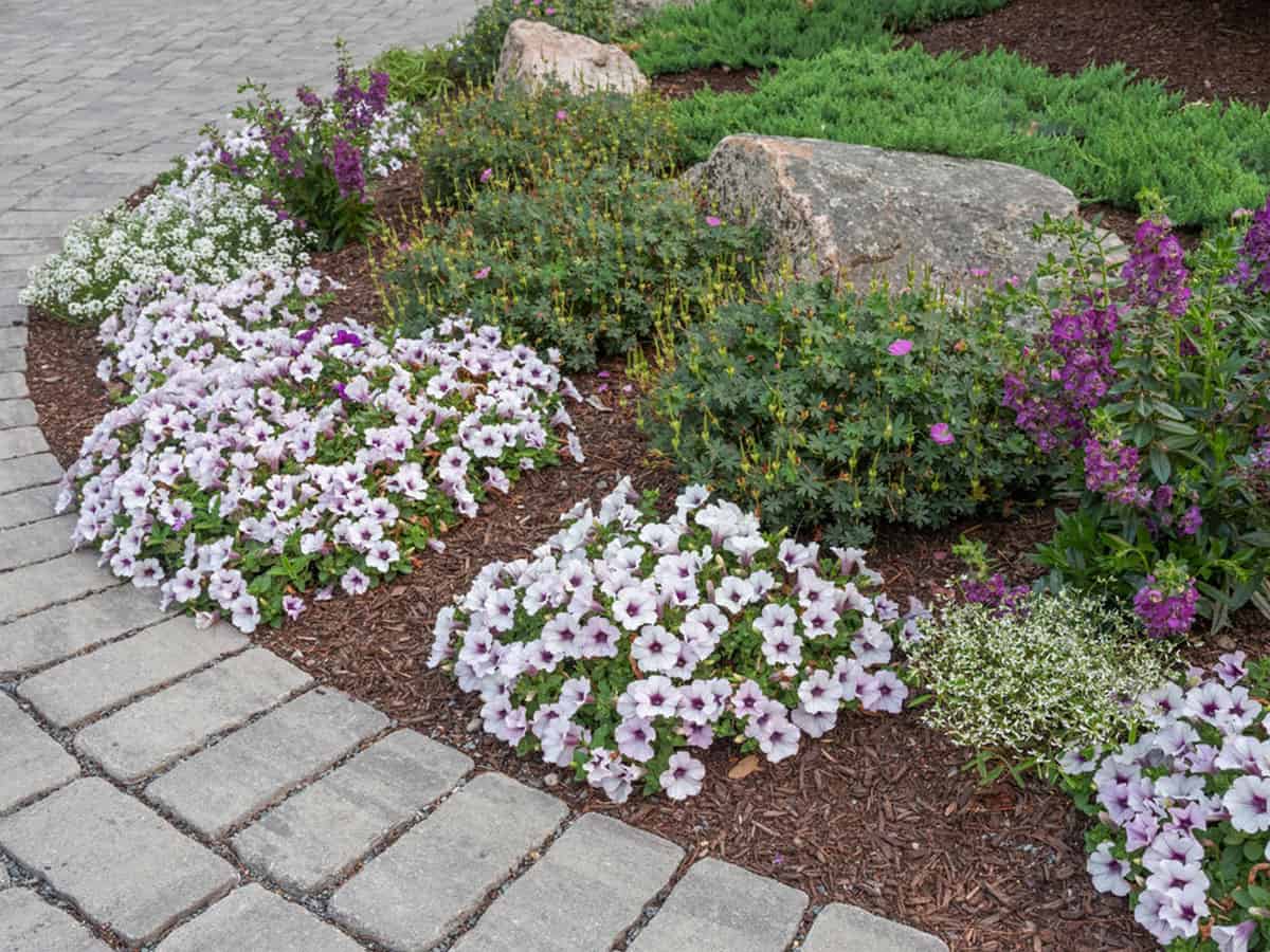 Belknap Landscape Project