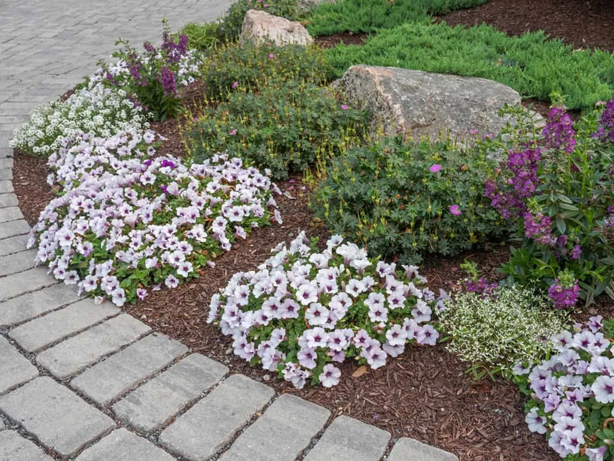 Belknap Landscape Project