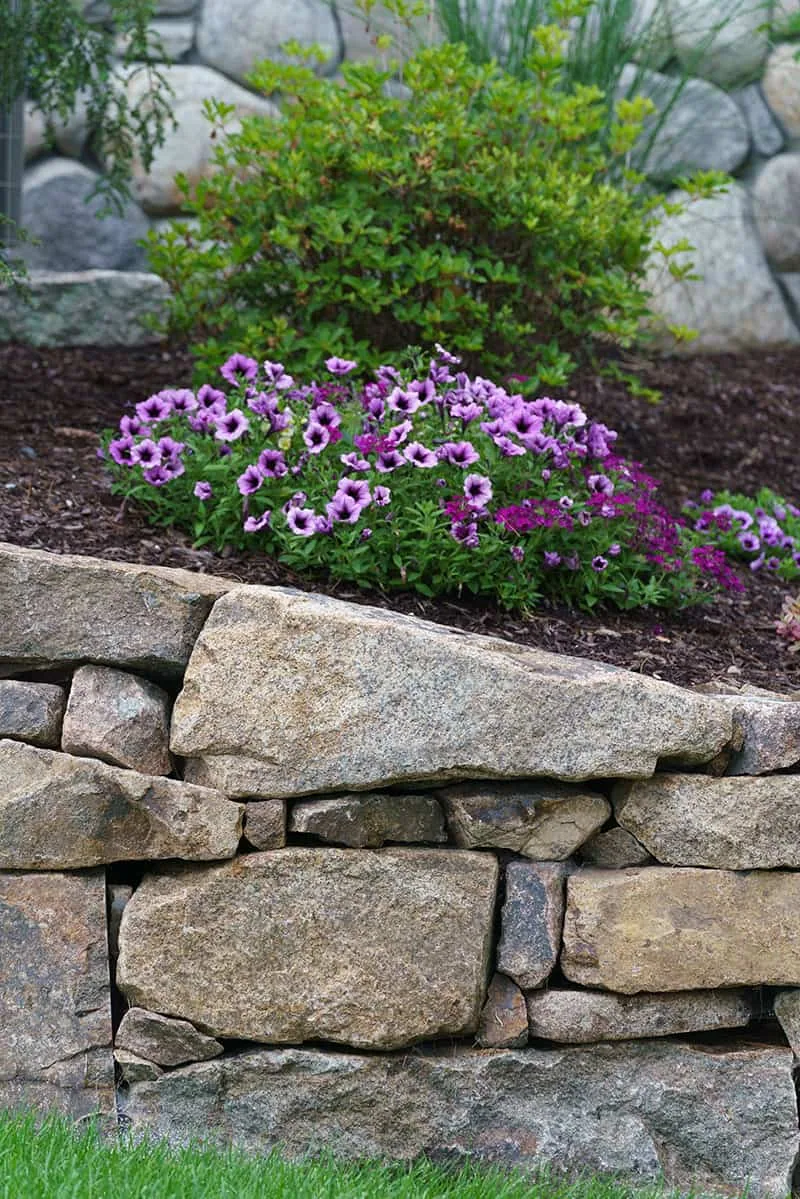 Belknap Landscape Project