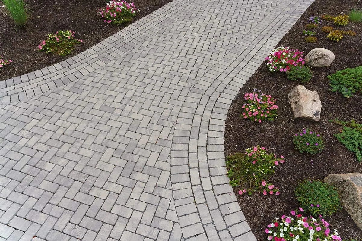 Belknap Landscape Project