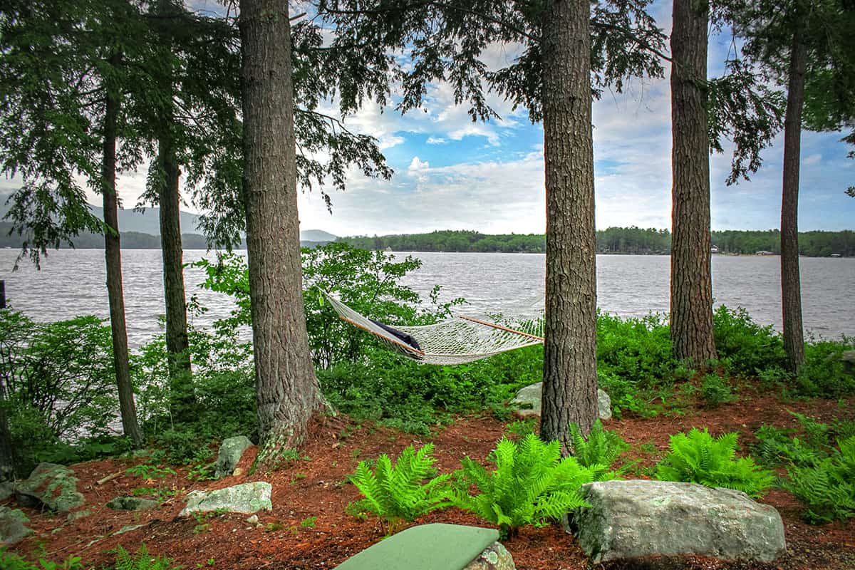 Belknap Landscape Project