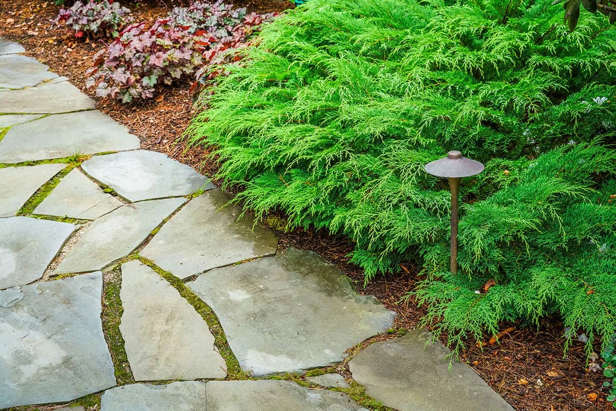 Belknap Landscape Project