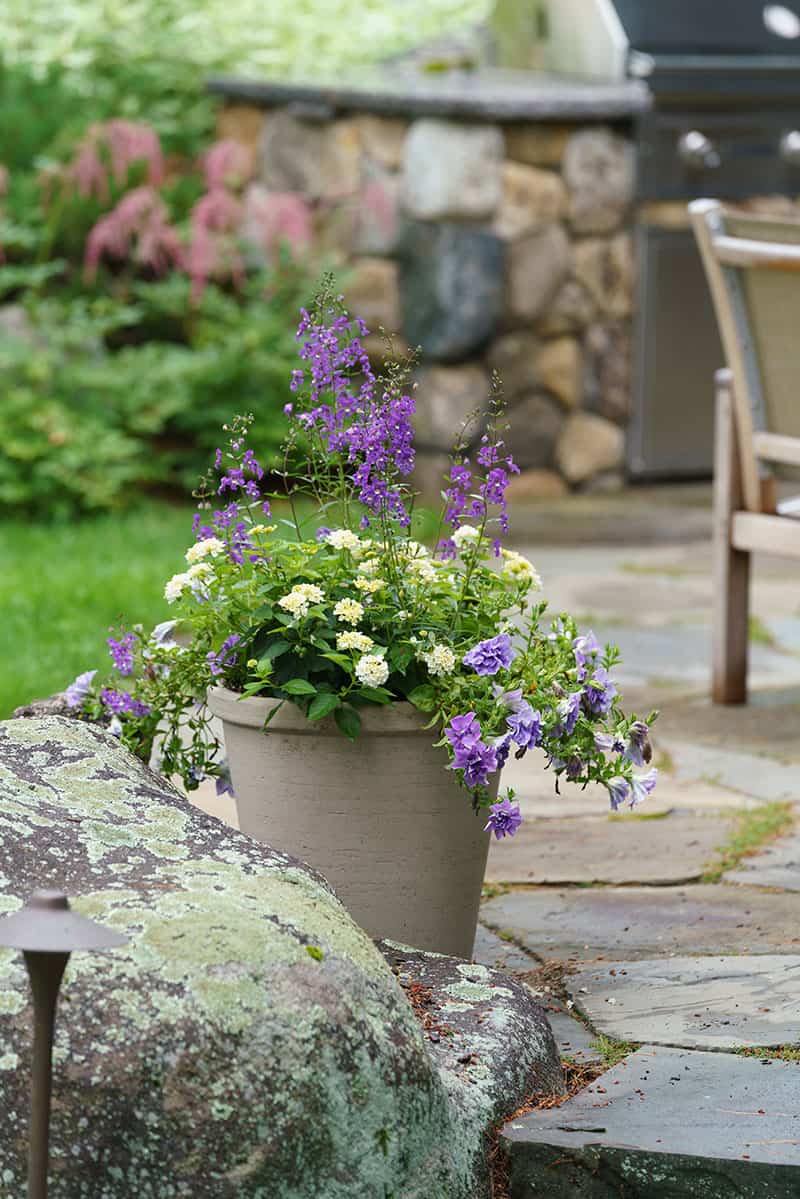 Belknap Landscape Project