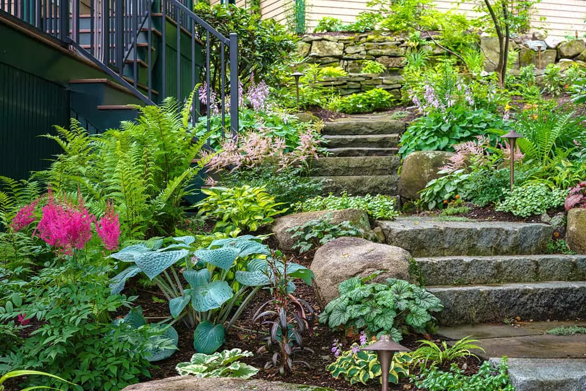 Belknap Landscape Project