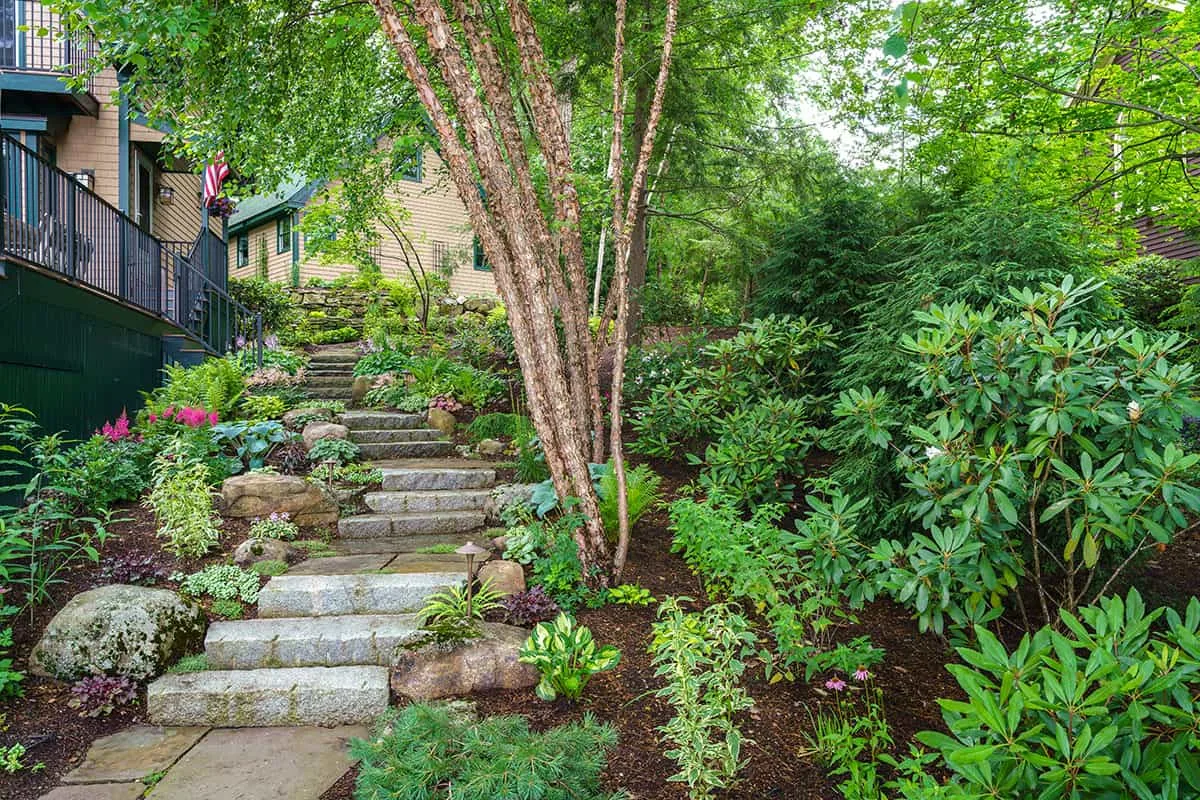 Belknap Landscape Project