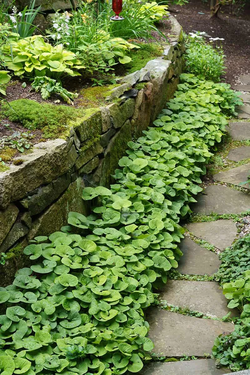 Belknap Landscape Project