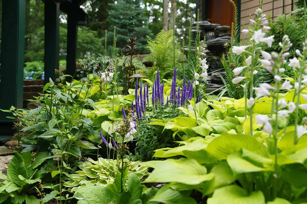 Belknap Landscape Project