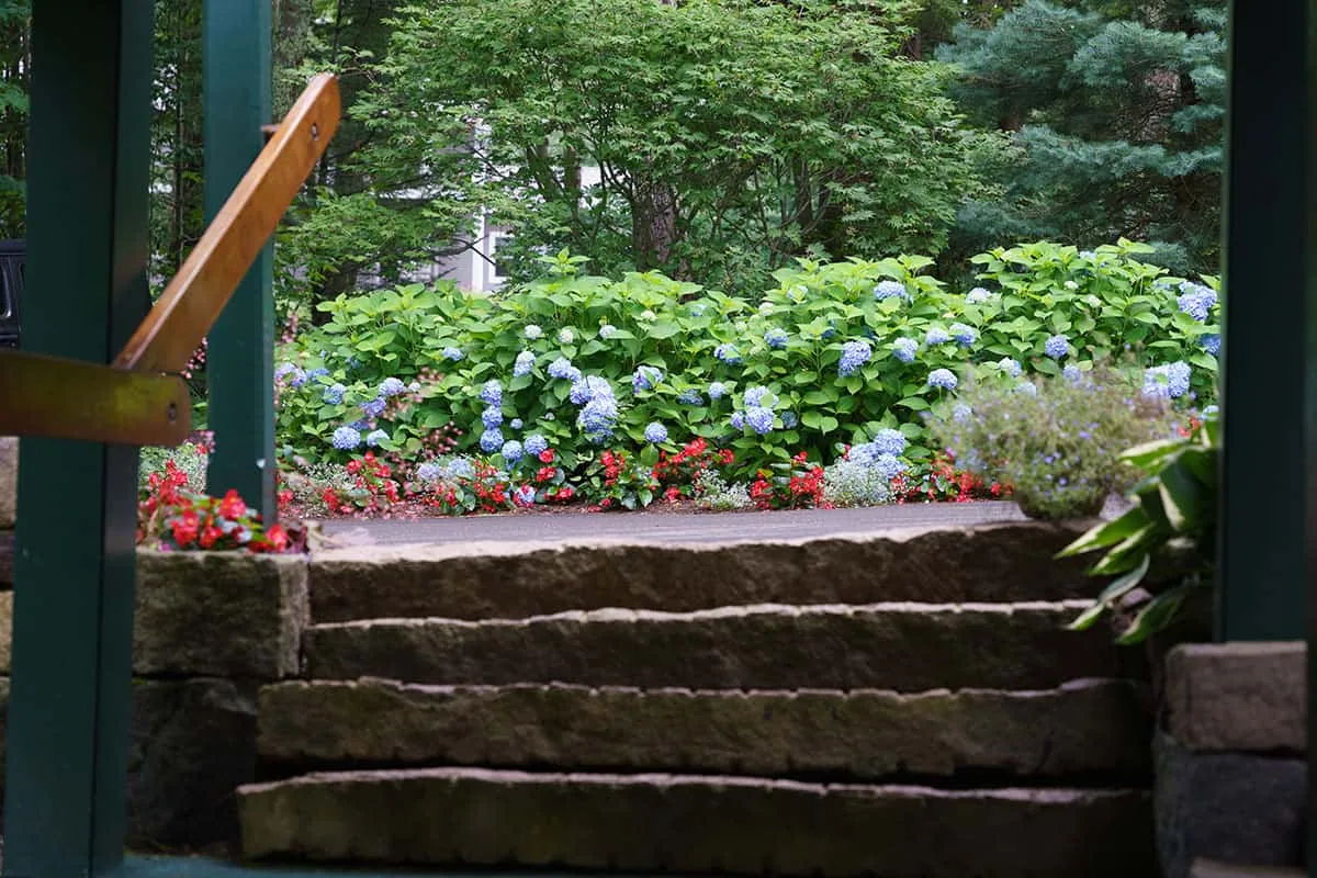 Belknap Landscape Project