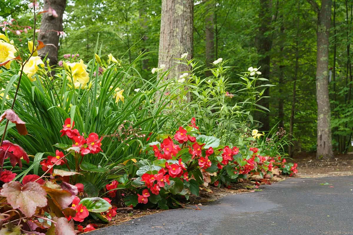 Belknap Landscape Project