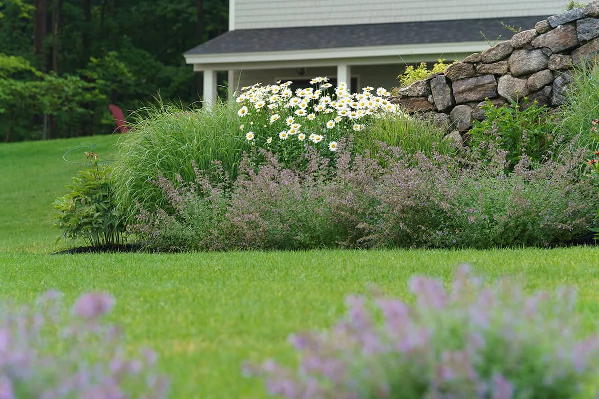 Belknap Landscape Project