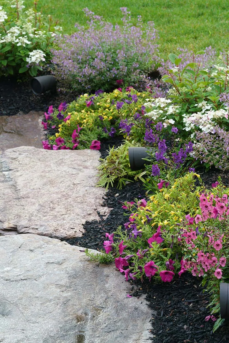 Belknap Landscape Project