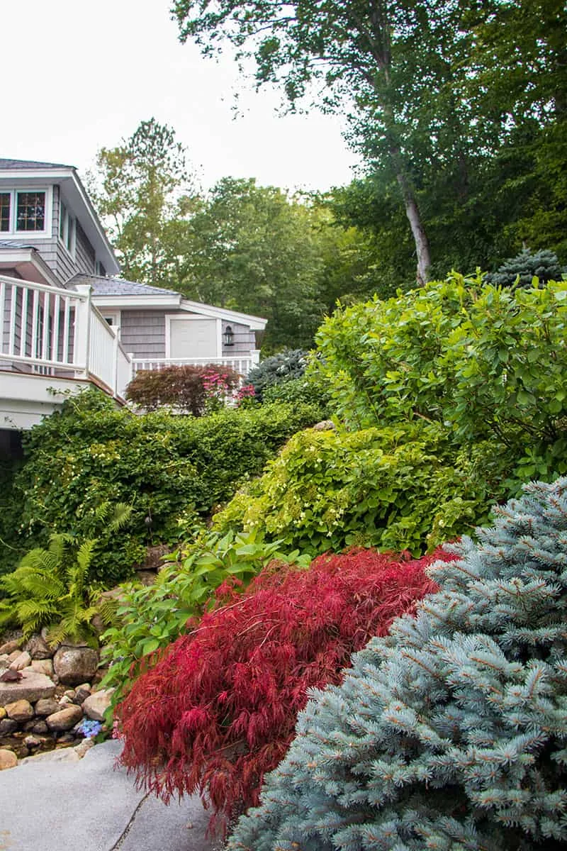 Belknap Landscape Project