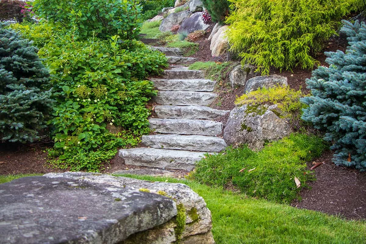 Belknap Landscape Project