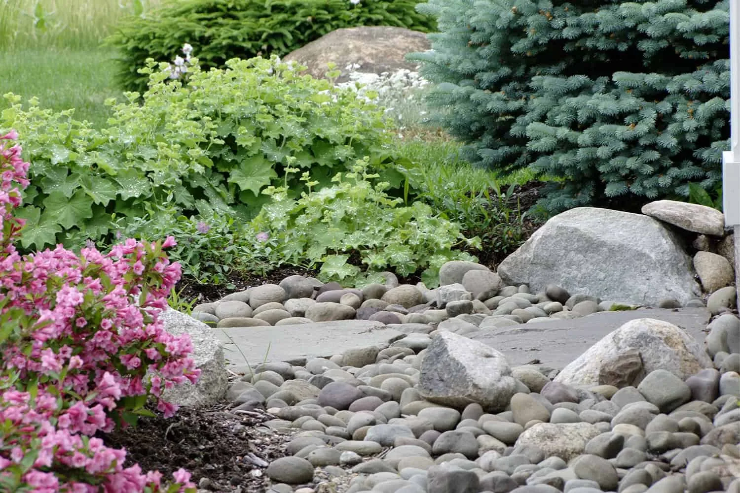 Belknap Landscape Project