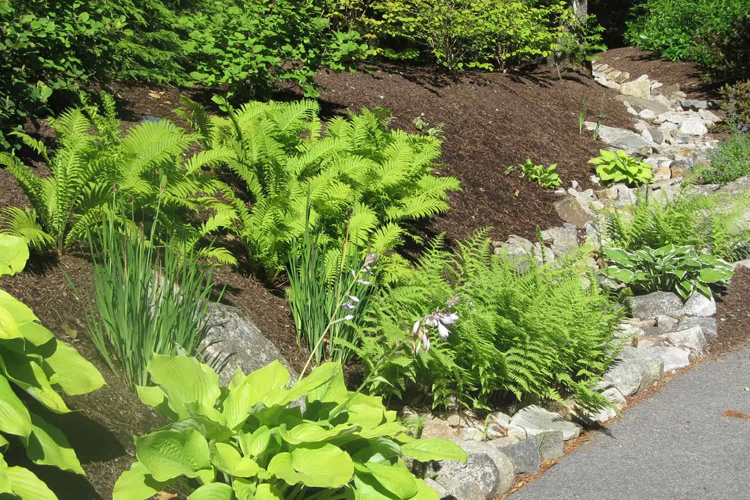 Belknap Landscape Project