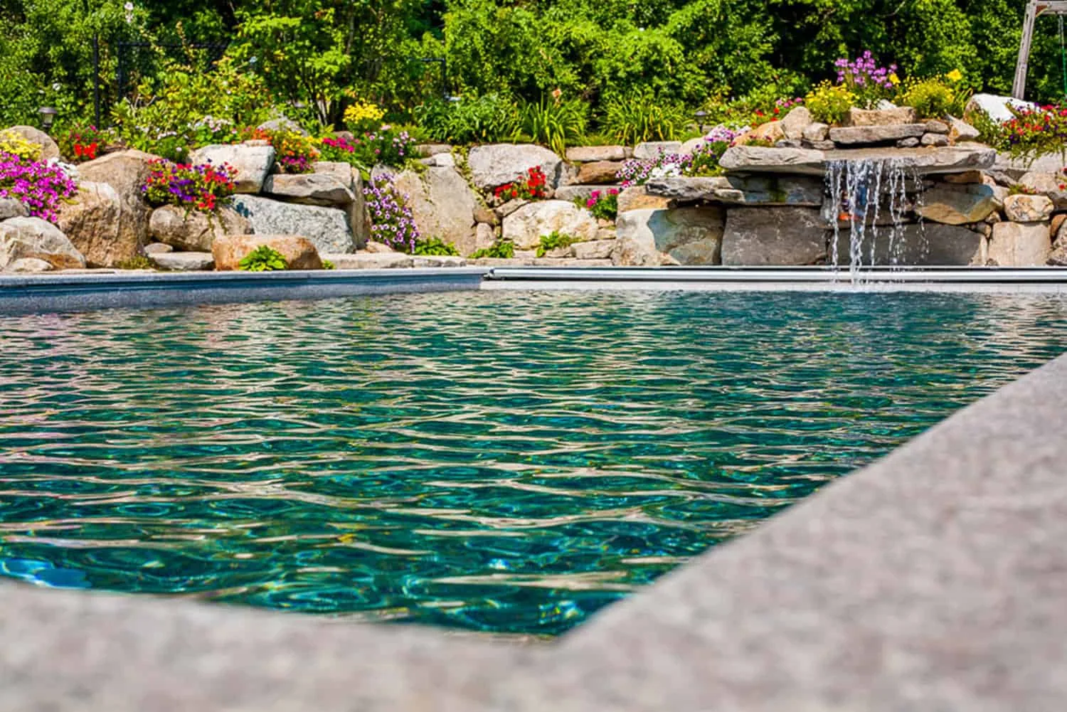 Belknap Landscape Project