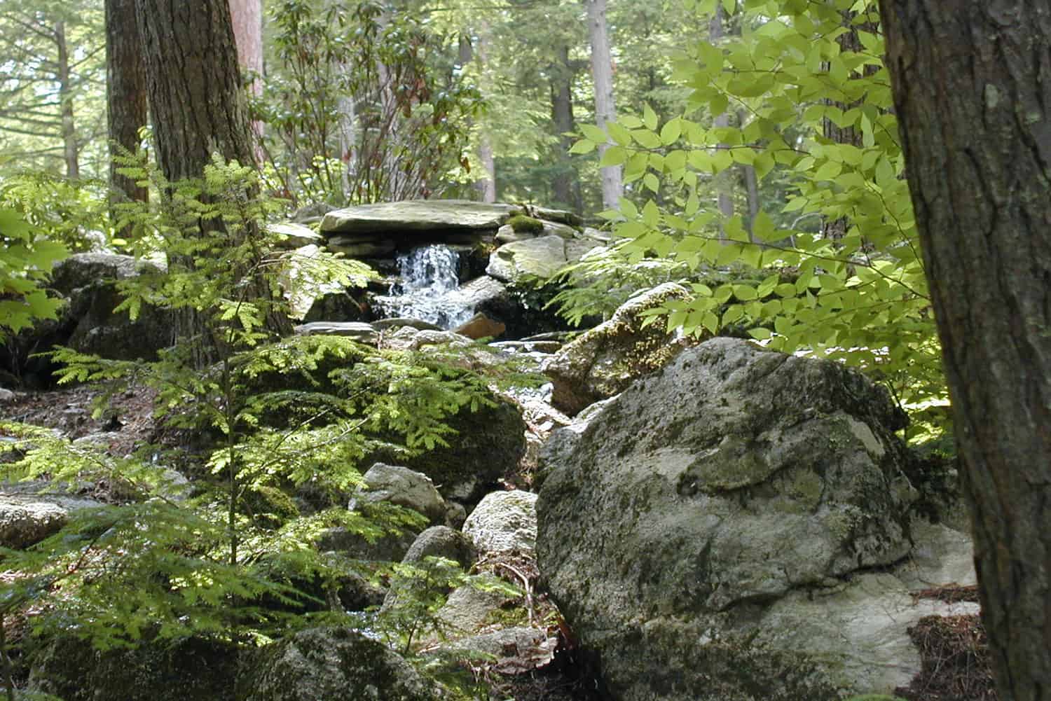 Custom Water Feature