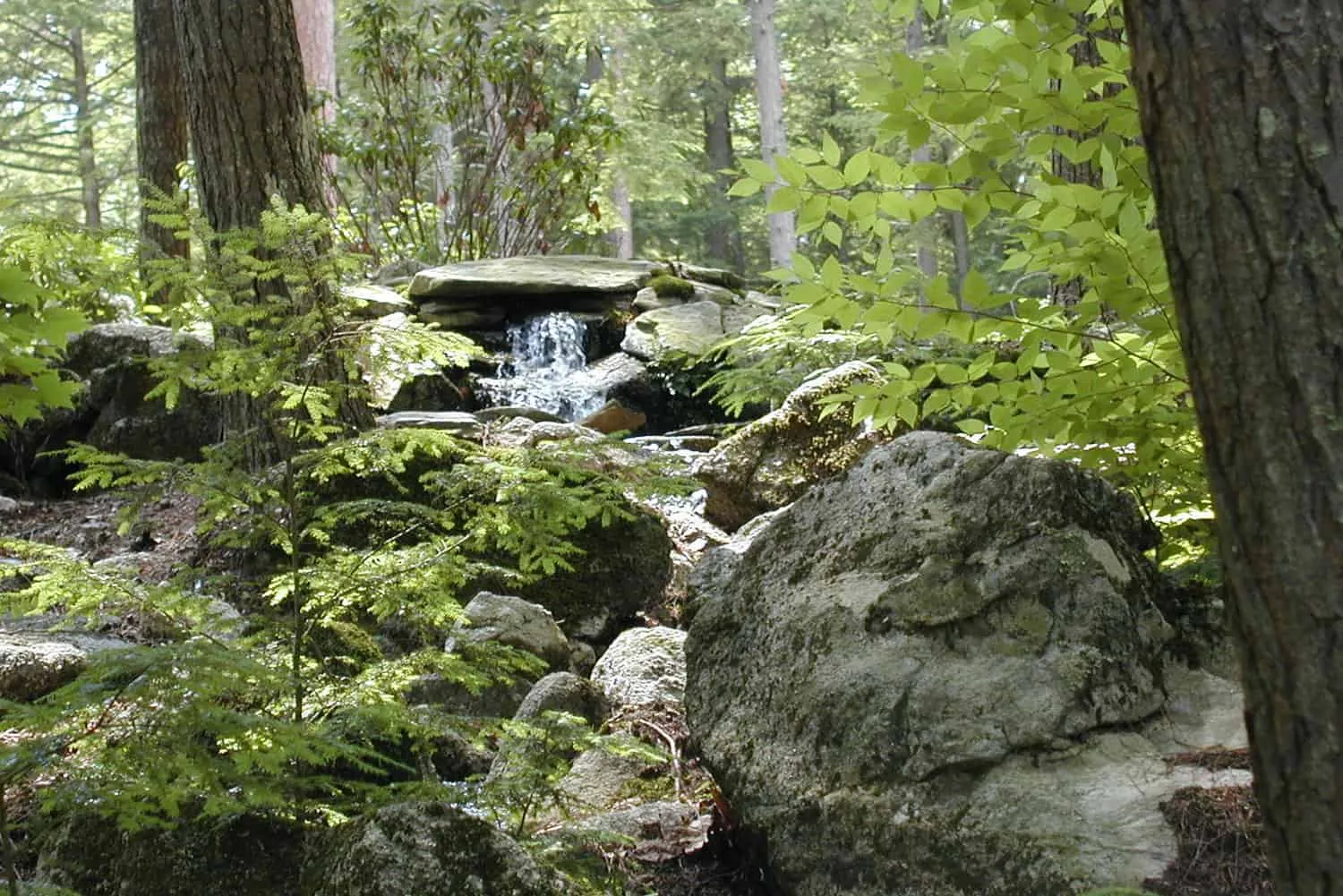 Belknap Landscape Project