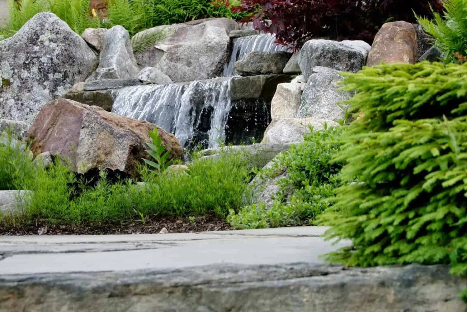 Belknap Landscape Project