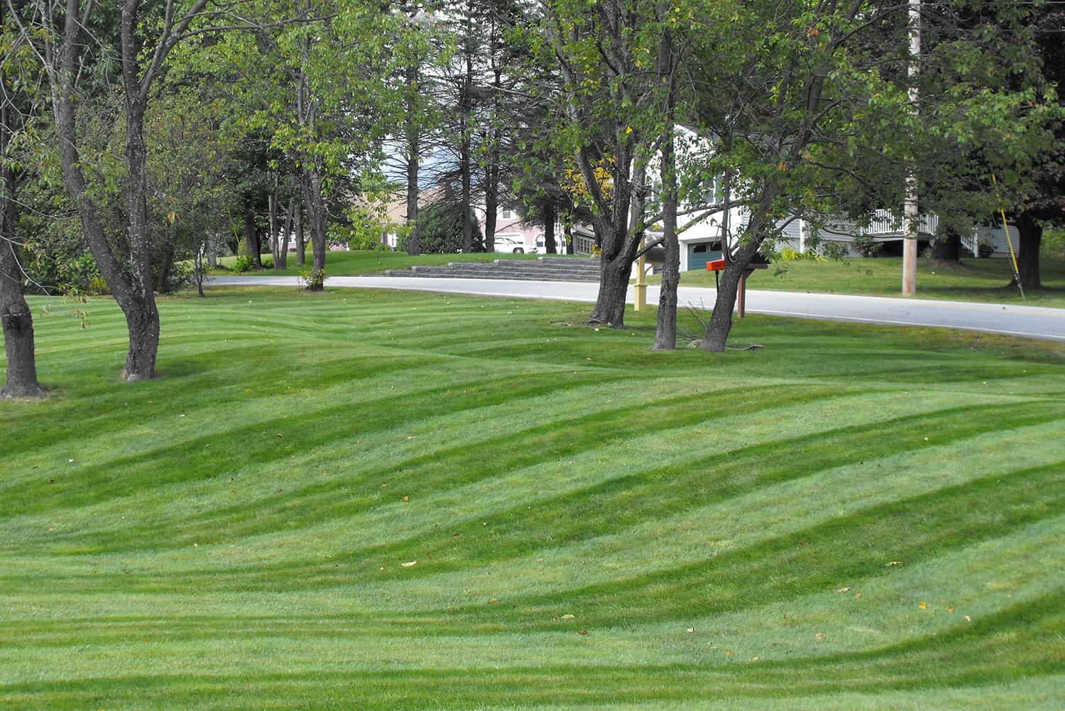 Property Care Service