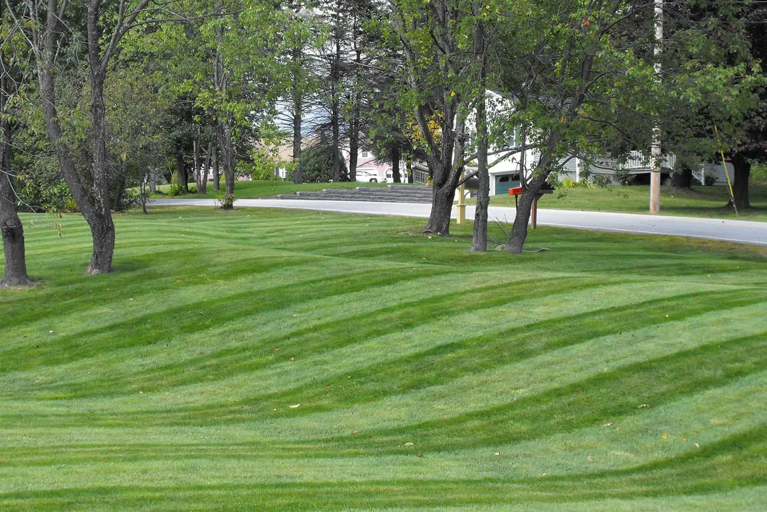 Belknap Landscape Project