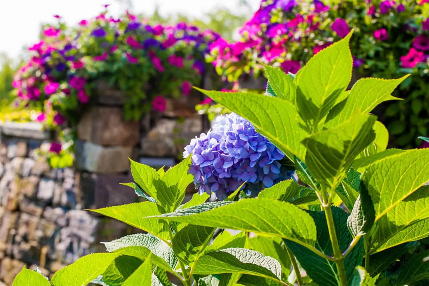 Belknap Landscape Project