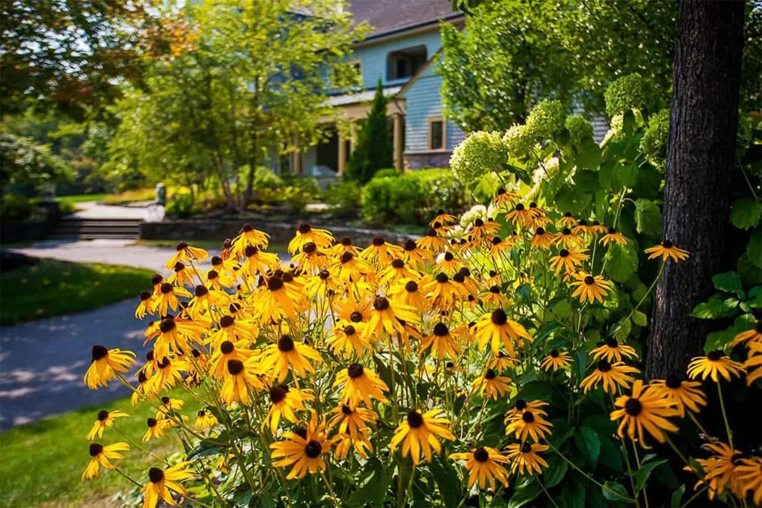 Belknap Landscape Project