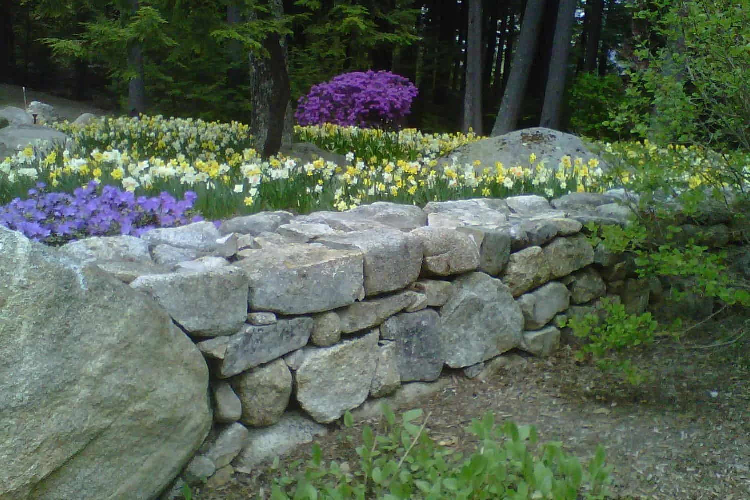 Belknap Landscape Project